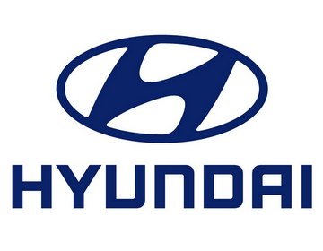 Einspritzdüse Injektor Bosch 0445110186 für KIA Sorento Hyundai H-1 2.5 CRDI