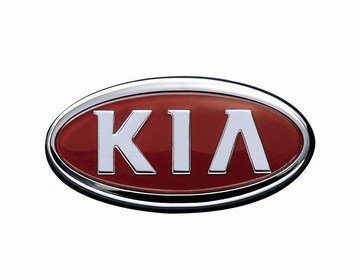 Einspritzdüse Injektor Bosch 0445110186 für KIA Sorento Hyundai H-1 2.5 CRDI