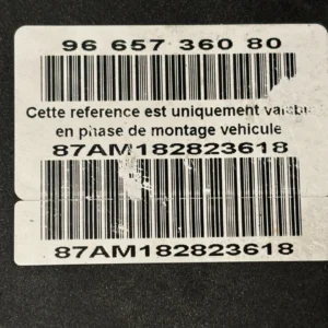0265950659 ABS Citroen C6 2009 9665736080 116281