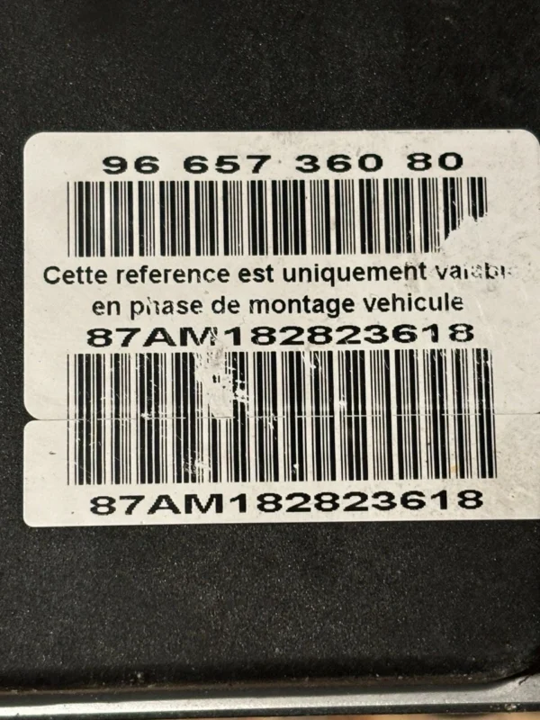 s-l1600 (48) 0265950659 ABS Citroen C6 2009 9665736080 116281